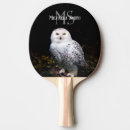 Search for paddle photography Bird