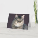 Search for tabby cat cards Kittens