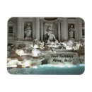 Search for trevi Souvenir