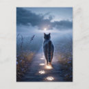 Search for spooky cat postcards Autumn
