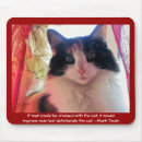 Search for calico Cat lovers