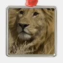 Search for mcdonalds christmas tree decorations Portrait