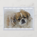 Search for cute faces postcards For kids