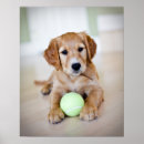 Search for dog wanted posters Puppy