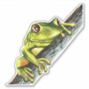 Search for frog eyes stickers Tropical