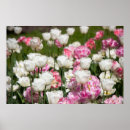 Search for brights posters Nature