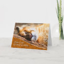 Search for cougar birthday cards Wildlife