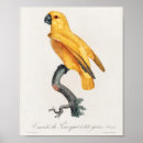 Search for senegal posters Yellow