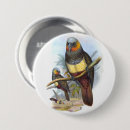 Search for blue parrot badges Animal