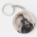 Search for baboon key rings Wildlife