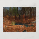 Search for puddle postcards Autumn