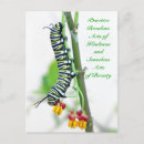 Search for random postcards Kindness