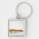 Search for lizards key rings Animal