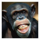 Search for laugh photography Animal