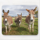 Search for farm photo electronics Nature
