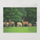 Search for blurred postcards Outdoors