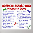 Search for american eskimo dog art Dogs