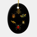 Search for insect christmas tree decorations Entomology