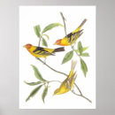 Search for john wilde posters Bird