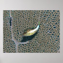 Search for sea fan art Fish