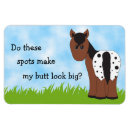 Search for appy Horse
