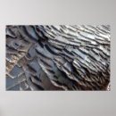 Search for wild designs posters Nature