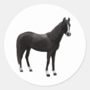 Search for equestrian stickers Western