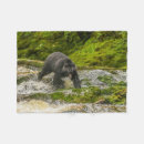 Search for inside passage British columbia