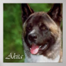 Search for akitas art Pets