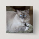 Search for ragdoll badges Animal