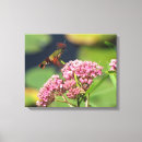 Search for hummingbirds art Pink