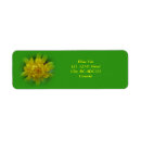 Search for dandelion return address labels Green