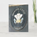 Search for canal cards English
