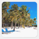 Search for key west stickers Nature