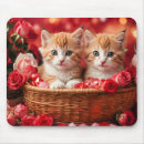 Search for fun cat mousepads Colorful