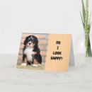 Search for miss u postcards Friend