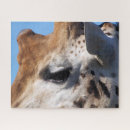 Search for giraffe puzzles Wild life