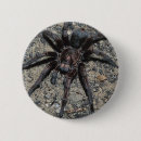 Search for arachnids badges Scary