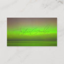 Search for borealis business cards Northern lights