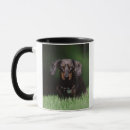 Search for dachshund photo mugs Close up