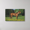 Search for thoroughbred canvas prints Equestrian