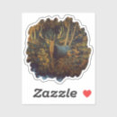 Search for white antlers stickers Hunting