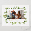 Search for spruce christmas cards Modern