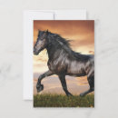 Search for black horse cards Horses