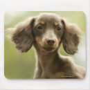 Search for turn mousepads Animal