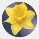 Search for watercolor flower painting stickers Yellow