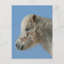 Search for miniatures postcards Horse