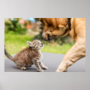 Search for lovely dog posters Animals