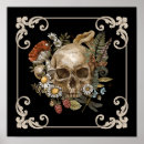 Search for animal skeletons posters Vintage