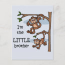 Search for little monkey postcards Monkeys
